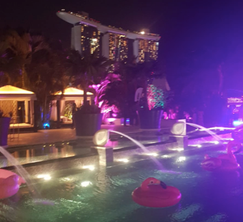 Screenshot 2019-05-15 11.16.25